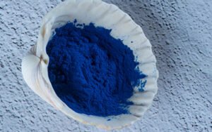 sumatra slim belly tonic- a blue powder rests in the center of a sea shell