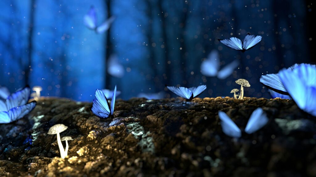 an image of butterflies at night