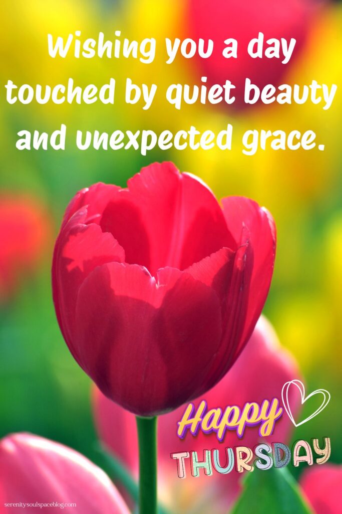Bright, colorful image of a red tulip in full bloom against a vibrant blurred background of yellow and green flowers. Overlaid text shares an uplifting message about quiet beauty and grace, along with “Happy Thursday” and a small website link at the bottom.