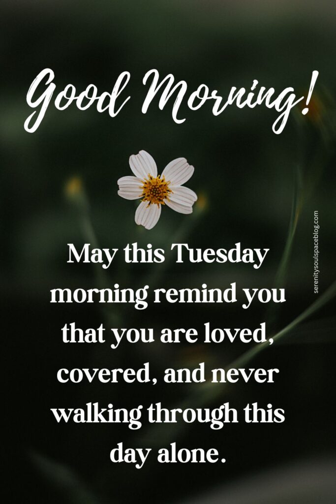 Close-up of a small white flower against a dark green blurred background with text that reads, “Good Morning! May this Tuesday morning remind you that you are loved, covered, and never walking through this day alone,” creating a calm and encouraging message.